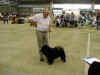 1 unghund  ,3 vinder med SL  i Ballerup d. 16.09.2006